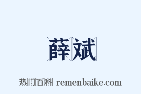 薛斌是什么意思的图片